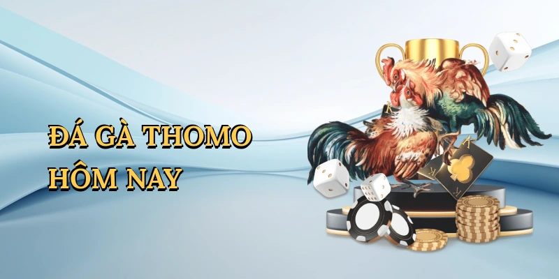 da-ga-thomo-hom-nay-1