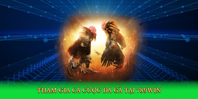 tham-gia-ca-cuoc-da-ga-tai-789win-3