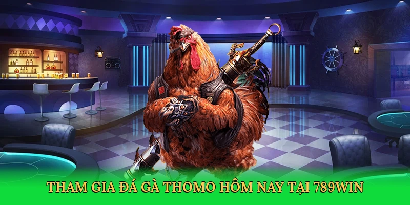 tham-gia-da-ga-thomo-hom-nay-tai-789win-2