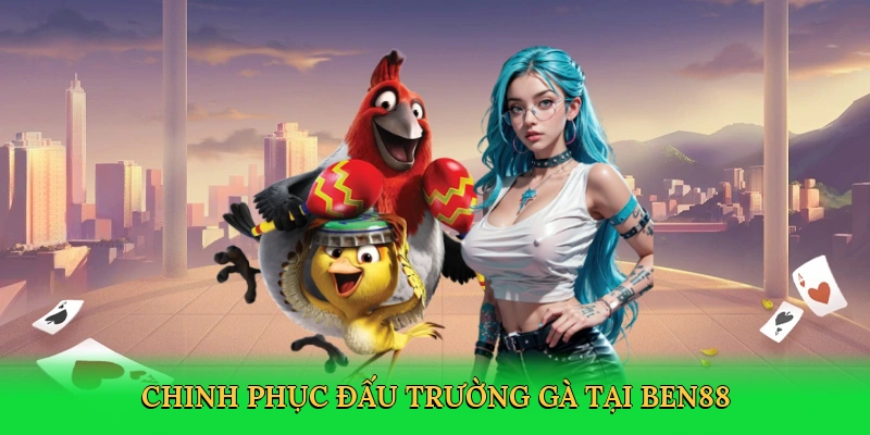 Chinh phục đấu trường gà tại Ben88