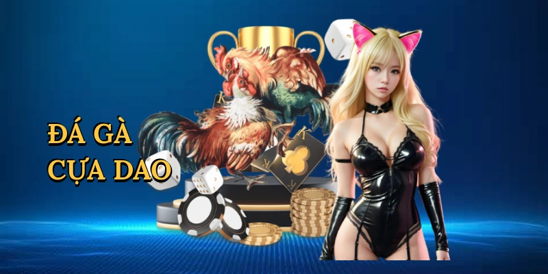Đá gà cựa dao