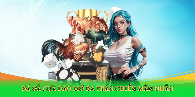 Đá gà cựa dao mở ra trận chiến mãn nhãn