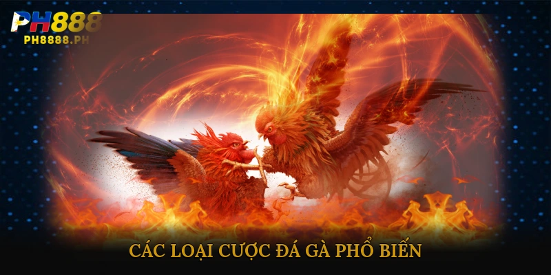 Các loại cược đá gà phổ biến