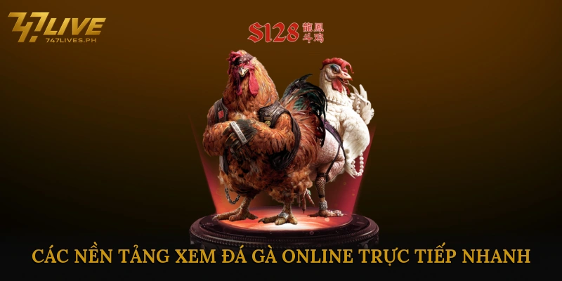 Các nền tảng xem đá gà online trực tiếp nhanh uy tín