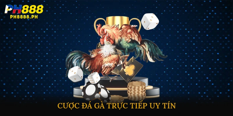 cược đá gà trực tiếp uy tín