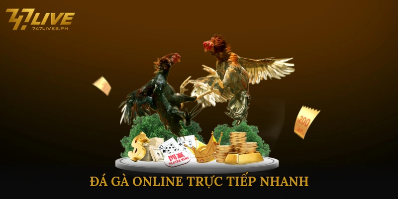 Đá gà online trực tiếp nhanh