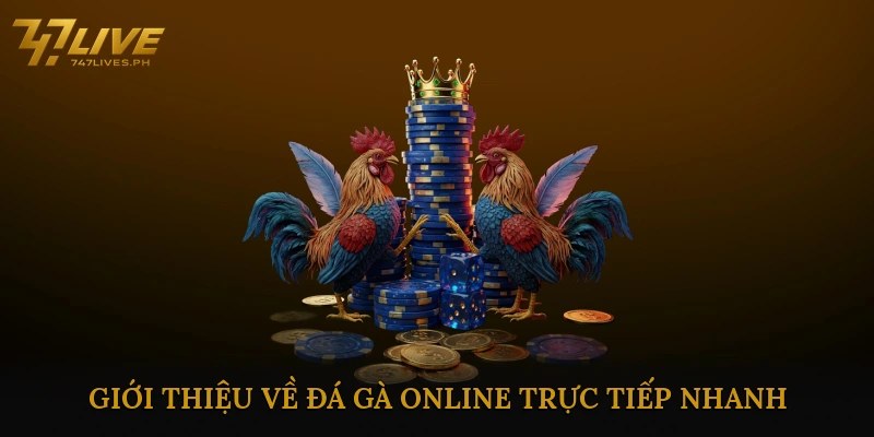 Giới thiệu về đá gà online trực tiếp nhanh