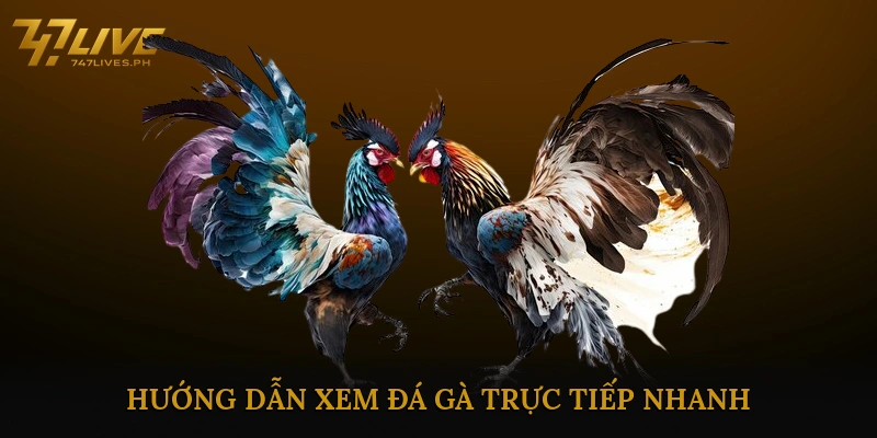 Mẹo và chiến lược cá cược đá gà online nhanh
