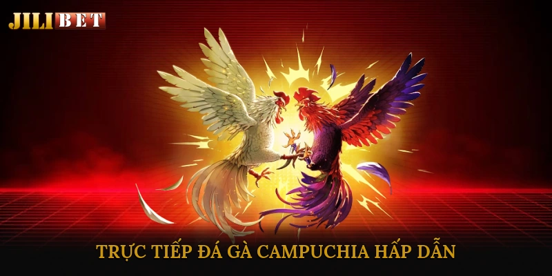 trực tiếp đá gà campuchia hấp dẫn