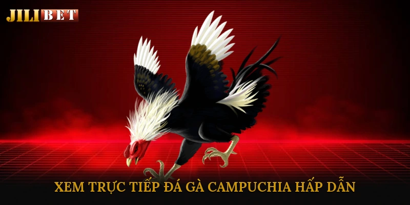 Xem trực tiếp đá gà campuchia hấp dẫn