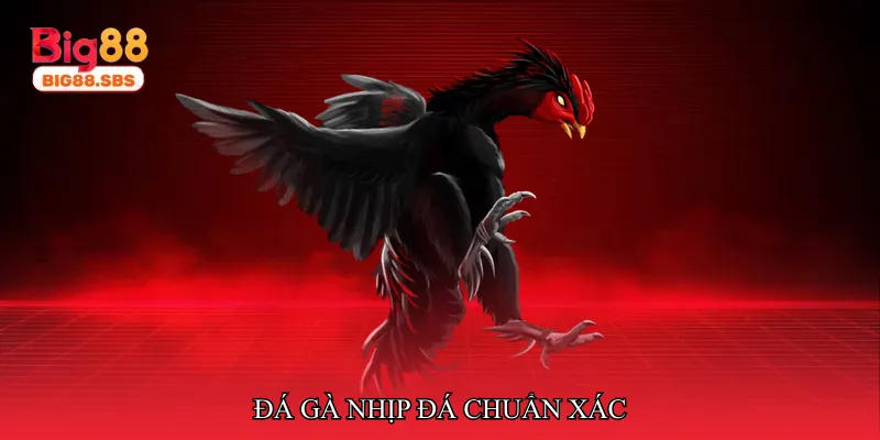 Đá gà nhịp đá chuẩn xác
