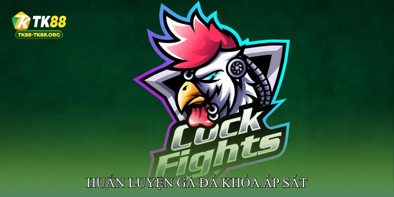 Huấn luyện gà đá khóa áp sát