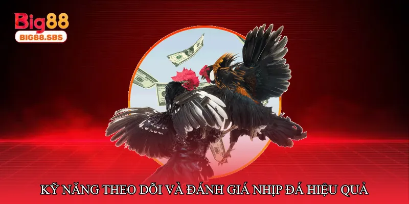 Kỹ năng theo dõi và đánh giá nhịp đá hiệu quả