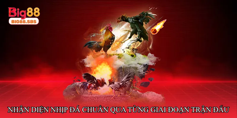 Nhận diện nhịp đá chuẩn qua từng giai đoạn trận đấu