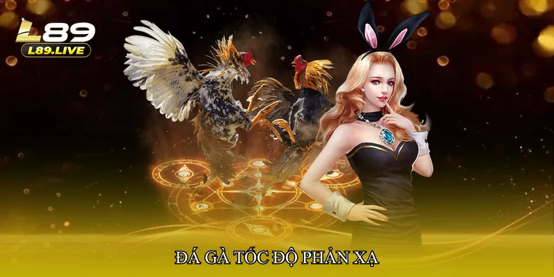 Đá gà tốc độ phản xạ