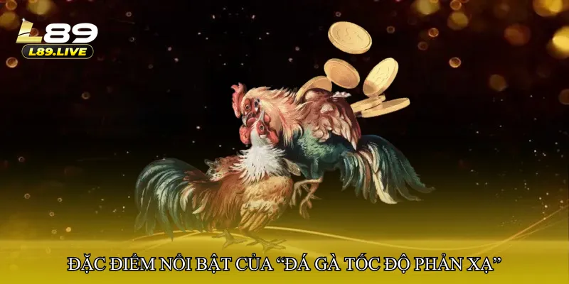 Đặc điểm nổi bật của “Đá gà tốc độ phản xạ”