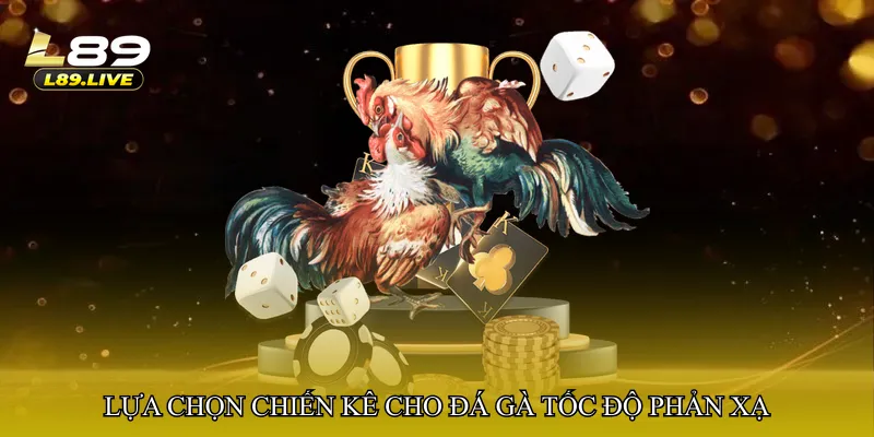 Lựa chọn chiến kê cho đá gà tốc độ phản xạ